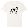 RE-Creator organic cotton t-shirt (STTU787) Thumbnail