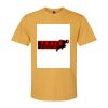 Gildan SoftStyle® Midweight T-Shirt Thumbnail