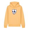 Unisex Cruiser 2.0 iconic hoodie sweatshirt (STSU177) Thumbnail
